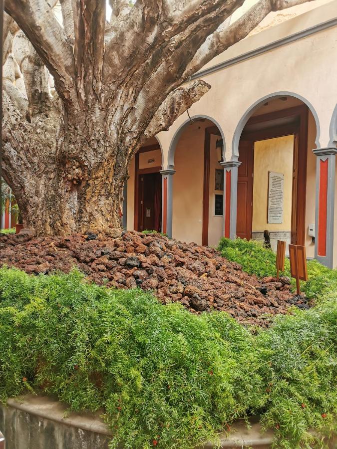 Habitacion Con Bano Privado Gáldar Eksteriør billede